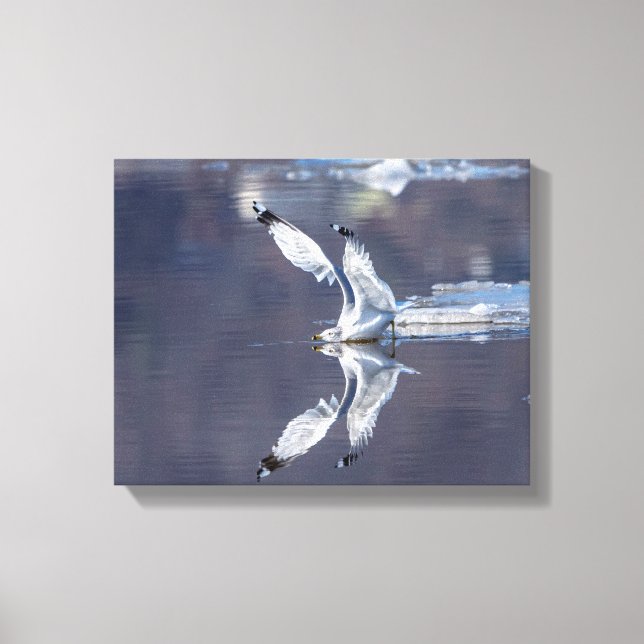 14x11 Gull Reflections Canvas Print (Front)