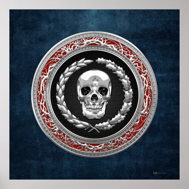 [150] Silver Skull Poster (Front)