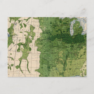 155 Corn/acre Postcard