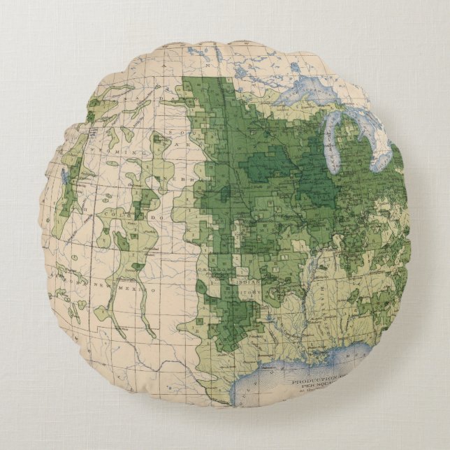 158 Oats/sq mile Round Cushion (Front)