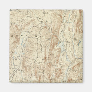 15 Clove sheet Magnet