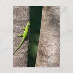 15 Minutes.JPG Postcard