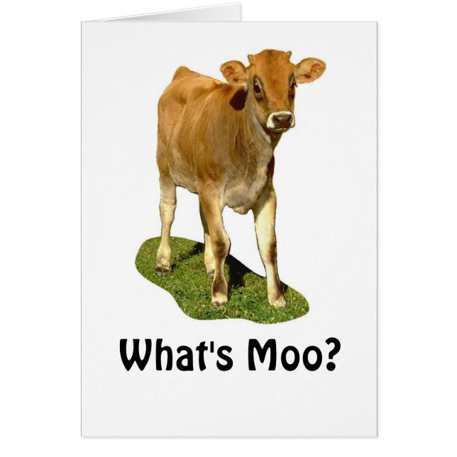 1607513, What's Moo? (Front)