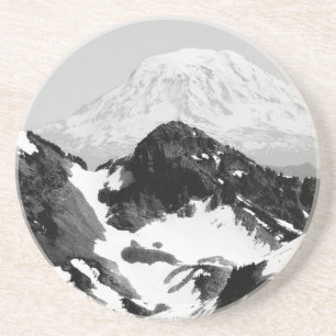 165 COASTER