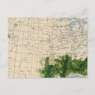 165 Cotton/sq mile Postcard