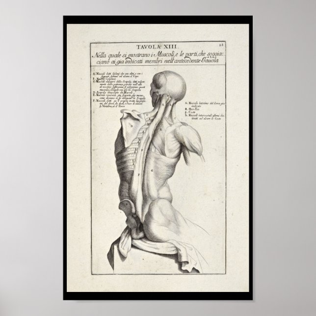 1691 Artistic Anatomy Back Muscles Art Print (Front)