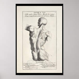 1691 Artistic Anatomy Back Muscles Art Print