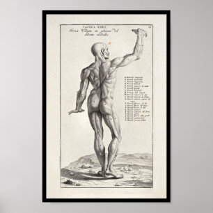 1691 Artistic Anatomy Muscles Body Art Print