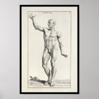 1691 Artistic Anatomy Muscles Body Art Print