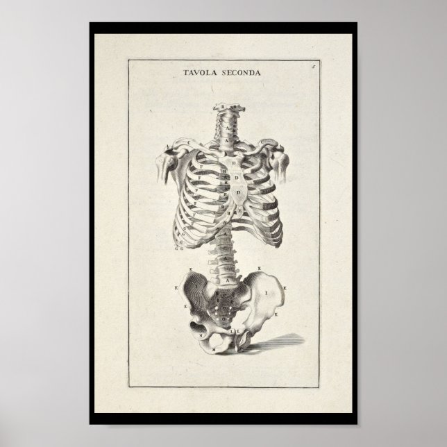 1691 Artistic Anatomy Skeleton Art Print (Front)