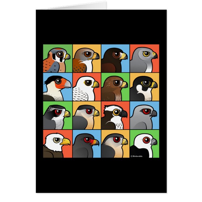 16 North American Raptor Profiles (Front)