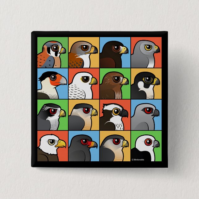 16 North American Raptor Profiles 15 Cm Square Badge (Front)