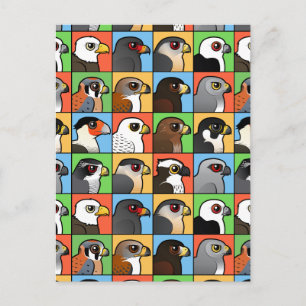 16 North American Raptor Profiles (tiled) Postcard