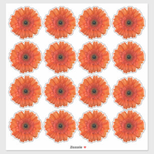 16 Orange Gerbera Daisy Flower Kiss-Cut Stickers