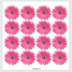 16 Pink Gerbera Daisy Flower Kiss-Cut Stickers