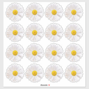 16 Shasta Daisy Flower Kiss-Cut Stickers