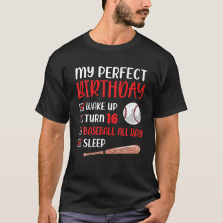 16 Year Old Baseball Birthday Party 16Th Boy Sixn T-Shirt