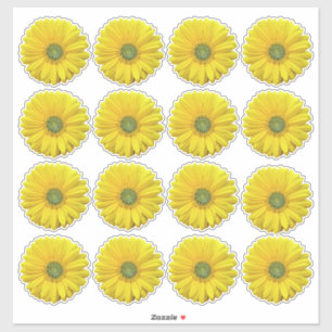 16 Yellow Gerbera Daisy Flower Kiss-Cut Stickers
