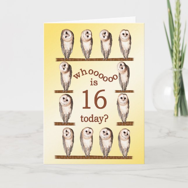 16th birthday, Curious owls card. Card (Front)