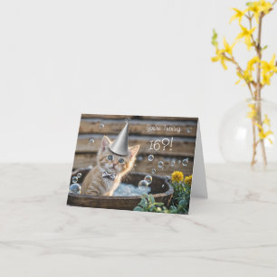 16th Birthday Cute and Funny Ginger Kitten Tub Card