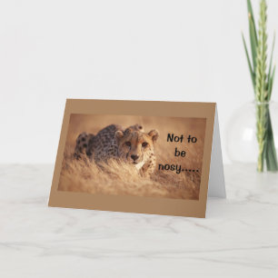 **16th BIRTHDAY** HUMOR FROM ONE SILLY CAT Card