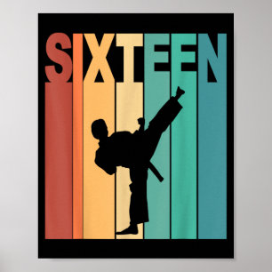 16th Birthday Karate Taekwondo Theme 16 Year Old Poster