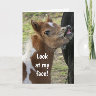 **16th BIRTHDAY** SURPIRSED PONY Card