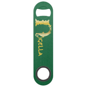 16th Century Celtic Knot Decorative Capital N