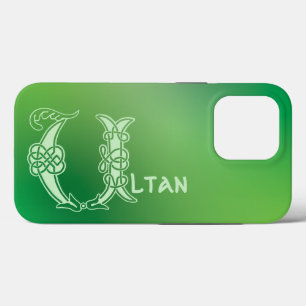 16th Century Celtic Knot Decorative Capital U iPhone 13 Pro Case