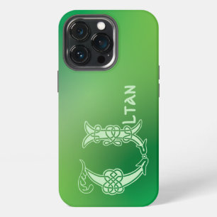 16th Century Celtic Knot Decorative Capital U iPhone 13 Pro Case