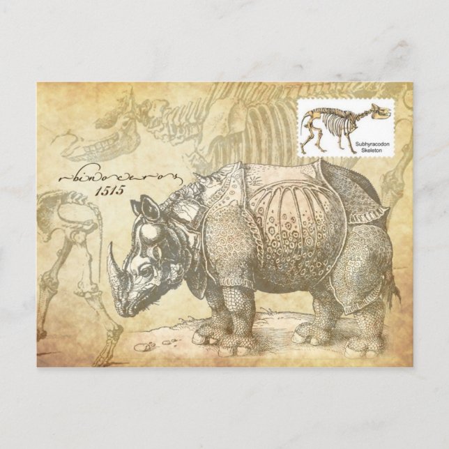 16th century Rhinoceros and skeleton Postcard (Front)