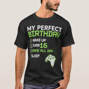 16th Perfect Birthday Boys Gaming 16 Years Old Gif T-Shirt