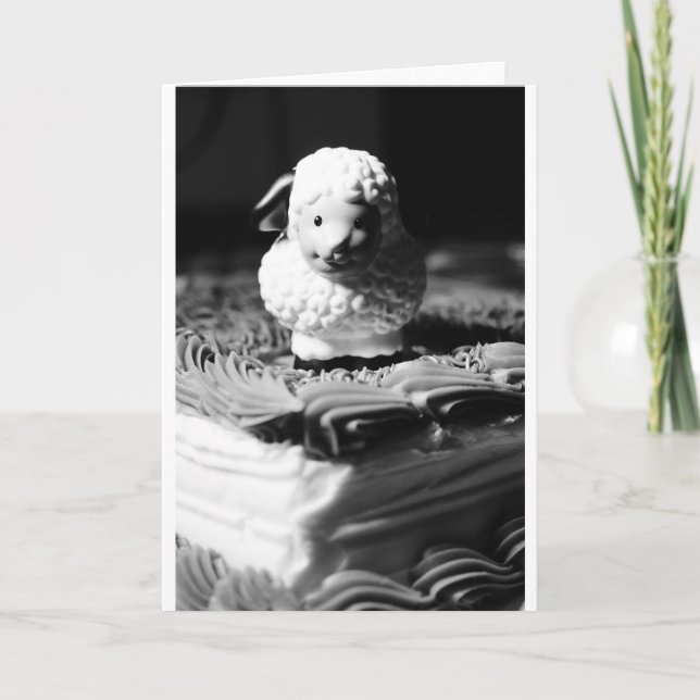 16th Sheep Birthday Card (Front)