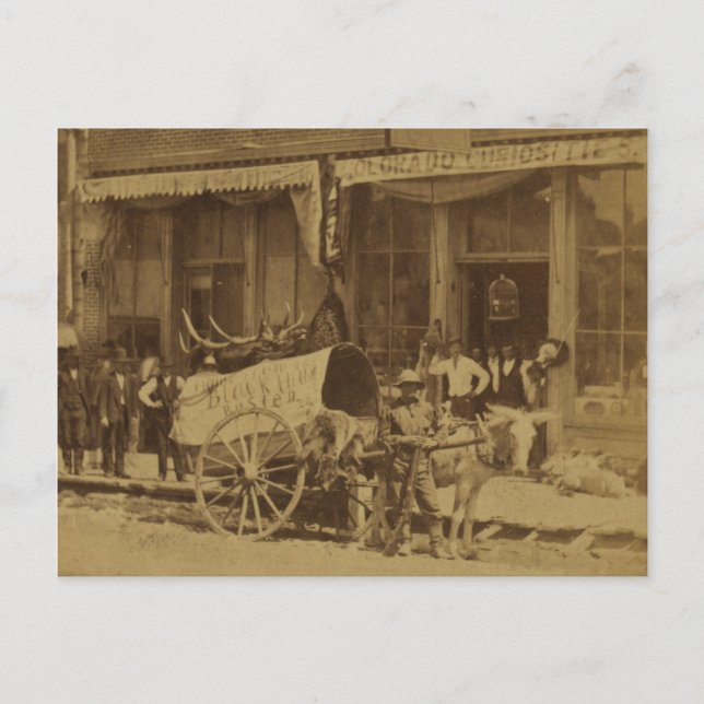 16th Street, Denver Postcard (Front)