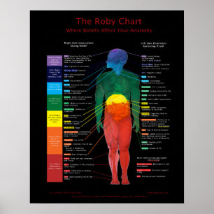 16x20" Roby Chart:Where beliefs affect anatomy Poster