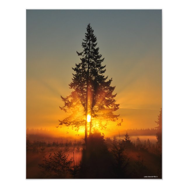 16X20 Sunrise in the Great Northwest Photo Print (Front)