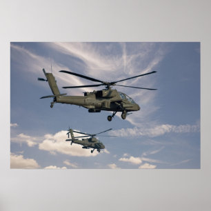 16x24 Print of Military Helicopters