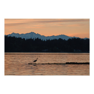 16X24 Sunset on the Olympic Mountains w/a Heron Photo Print