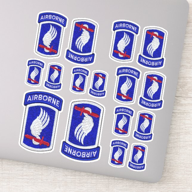 173rd ABN Airborne Brigade Sky Soldiers Contour St (Detail)