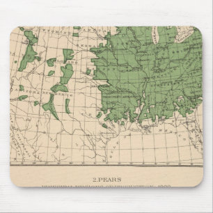 174 Apples, pears, principal regions Mouse Mat