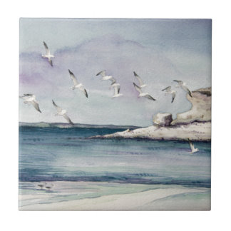 1774 Seagulls at Sandy Beach Tile