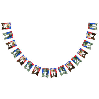 1776–2026 • 16-Flag Celebration Banner, Editable Bunting