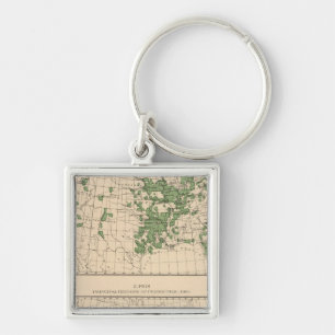 177 Plums, prunes, figs, principal regions Key Ring