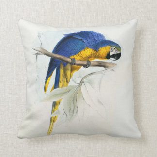 #17-Blue & yellow maccaw Cushion