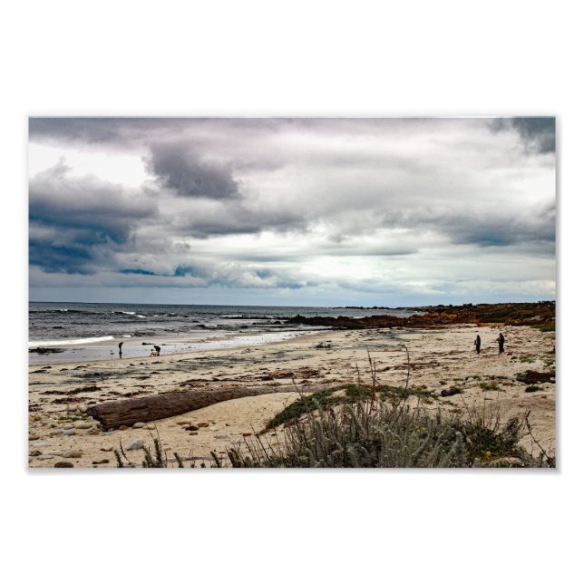 17 Mile Drive Photo Print (Front)