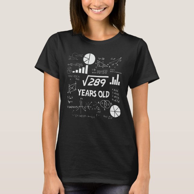 17 Year Old Bday Geeky Math 17th birthday Gift T-Shirt (Front)