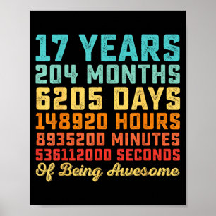 17 Years Old Birthday Quote Funny 17th B-Day Math Poster