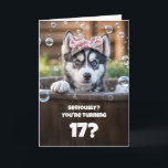 17th Birthday Cute and Funny Husky Tub Card<br><div class="desc">This adorable card features a sweet little husky with a surprised expression,  bringing a fun and playful vibe. It can be personalized for any age,  with this one designed especially for a 17th birthday. Perfectly cute for any teenager!</div>