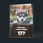 17th Birthday Cute and Funny Husky Tub Card<br><div class="desc">This adorable card features a sweet little husky with a surprised expression,  bringing a fun and playful vibe. It can be personalized for any age,  with this one designed especially for a 17th birthday. Perfectly cute for any teenager!</div>
