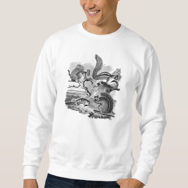 1800s Vintage Squirrels Illustration - Squirrel Sweatshirt (Front)